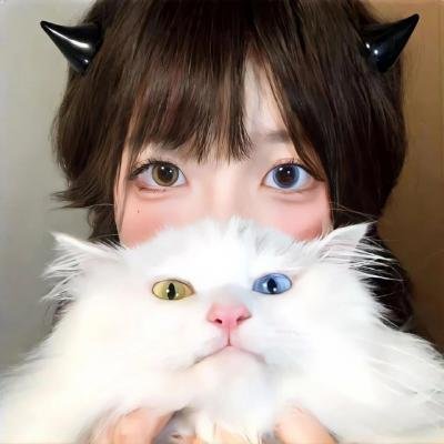 掩护封面